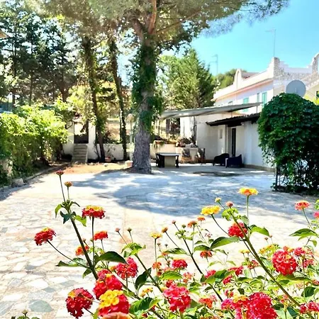 Casa Alice A 100 Mt Dal Mare, Free Wi-fi *